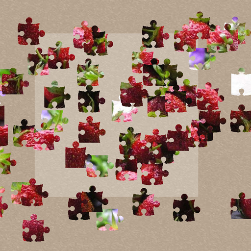 Jigsaw Puzzles LOGO-APP點子