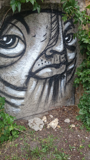 Strangeful Face on Gellért Wall