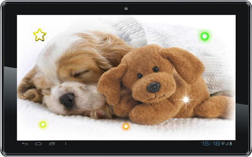 【免費個人化App】Puppies Cute HD Photo LWP-APP點子