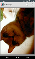 Cat Snaps - Selfies for Cats! screenshot