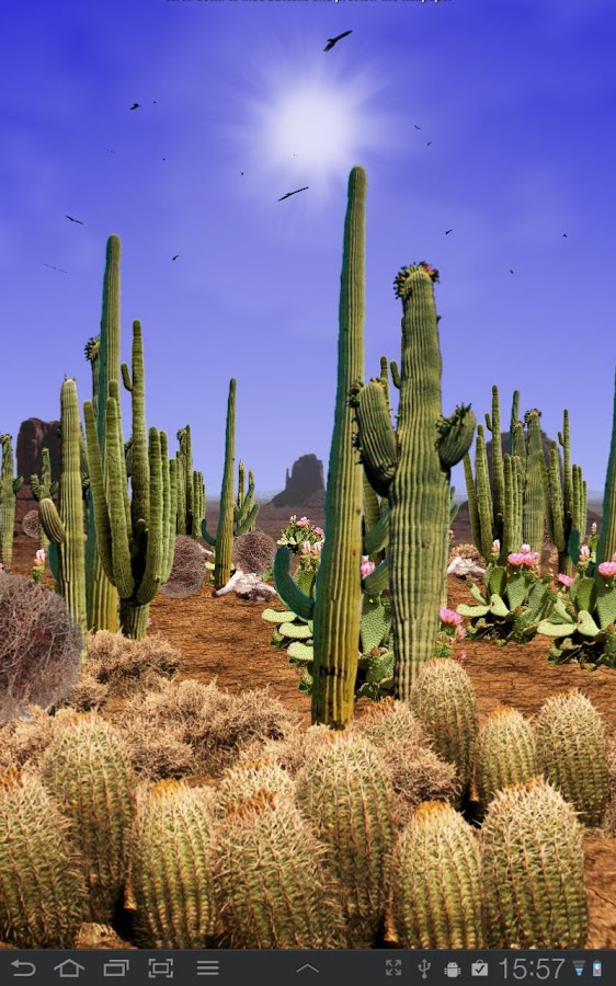 Desert Live Wallpaper - Android Apps on Google Play