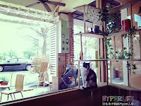 Cafe CoroCoro カフェ コロコロ (已歇業)