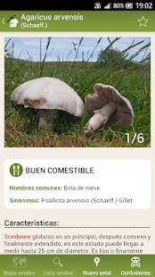 How to get Fungipedia patch 2.0.0 apk for laptop