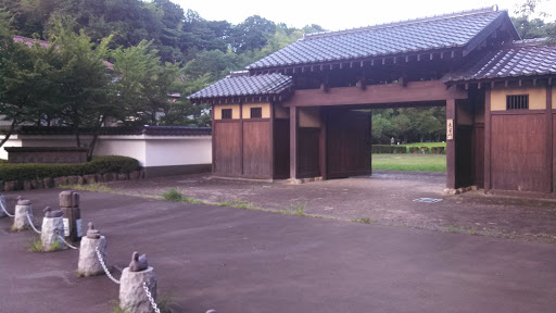 Yatoyama Park Nagayamon