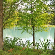 雲山水 VillaHome 民宿