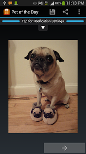 Pet of the Day: Dog & Cat Pics Screenshots 0