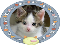 Photo Frames for Petsのおすすめ画像2