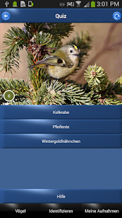Vogelstimmen Id - Ruf + Gesang(圖5)-速報App