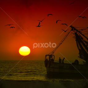 Atardecer 31/12 by Alighieri Rizo - Landscapes Sunsets & Sunrises