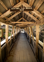 Pine Bridge by Ken Susi -  