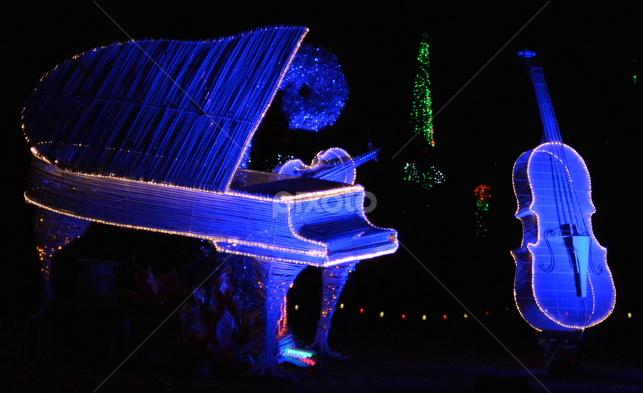Blue Light Piano and Double Bass | Christmas | Public Holidays | Pixoto