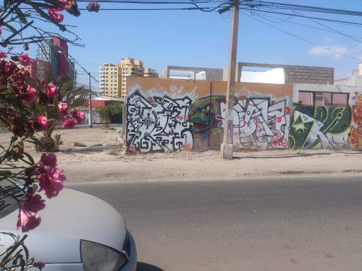 Graffiti Conejo