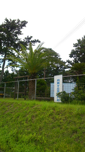 月見ケ丘テント村　Tsukimigaoka Camp Site
