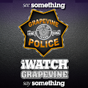 What is iWatch Grapevine? logo
