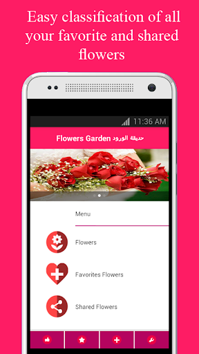 +Flowers Garden - حديقة الورود