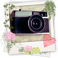Picute 写真をおしゃれにかわいくデコれるカメラアプリ Androidアプリ Applion