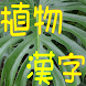 難読漢字クイズ（果物・植物の漢字）