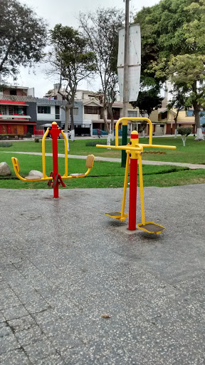 Mini Gimnasio En Parque Colmenares