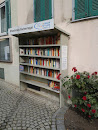 Öffentliches Bücherregal 