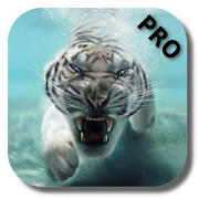 Tiger Pro 2.5 Icon