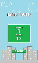 Urban Bird poster 12