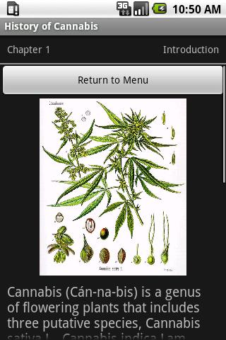 History of Cannabis Screen 2