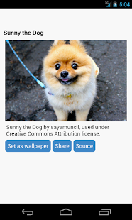 Download Funny Wallpapers APK