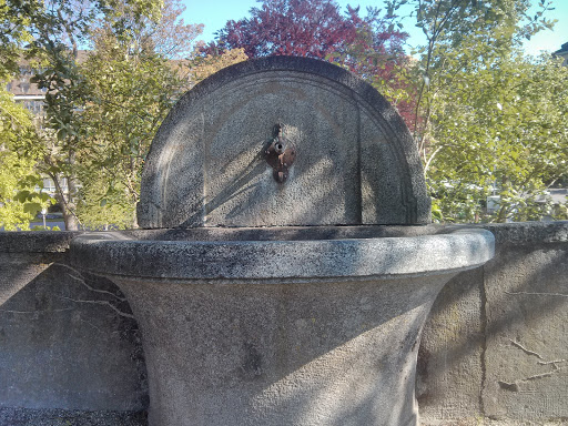 Wasserspritzerbrunnen