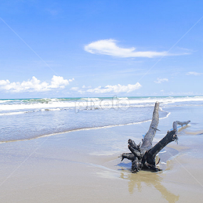 Oetune Kupang - NTT Indonesia by Jnr Lavigne - Landscapes Beaches