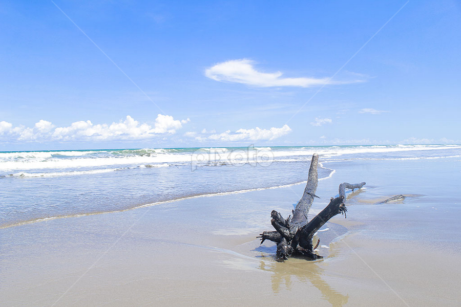 Oetune Kupang - NTT Indonesia by Jnr Lavigne - Landscapes Beaches