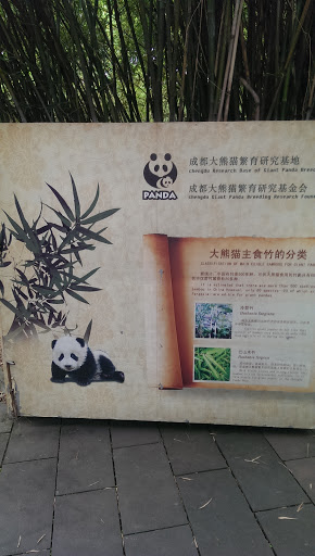 熊貓知識閘門