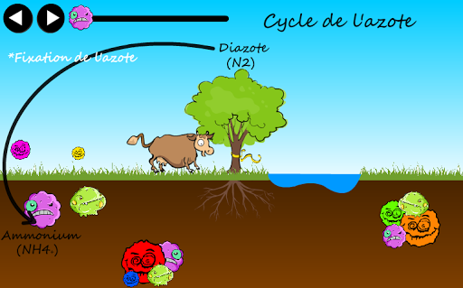 Le cycle de l'azote 1.0.0 screenshots 2