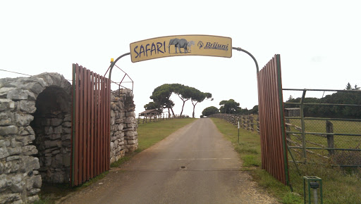 Safari East Entrance