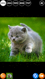 Tile Puzzle: Cute Kittens poster 3