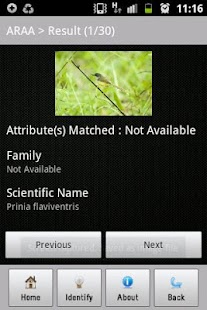 Download burung ID APK