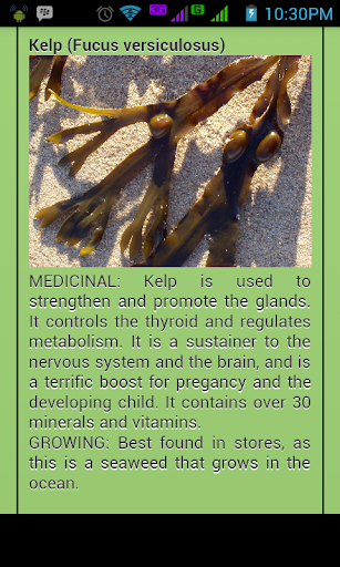 Medicinal Plant