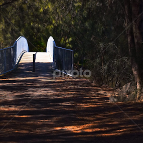 পথের দিশারী FUJI EX-1 by Mominul Haque - Uncategorized All Uncategorized