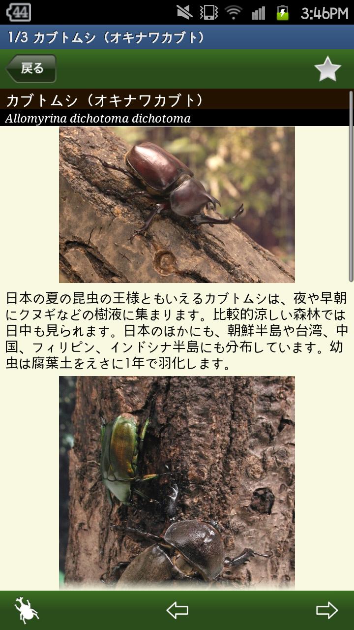 世界のカブト・クワガタ図鑑 Screen 3