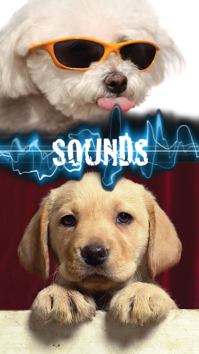 Cute Puppy Sounds