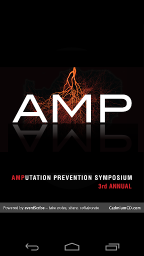 AMP 2013