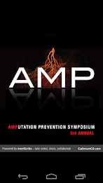 AMP 2013 poster 1