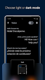 iTranslate Translator 6