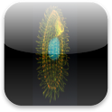 Biology Articles logo