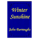 Winter Sunshine