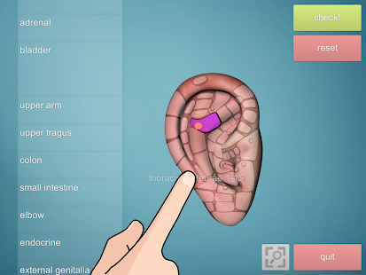 Drag&Drop Reflexology (ears)(圖5)-速報App