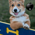Very Funny GIFs logo
