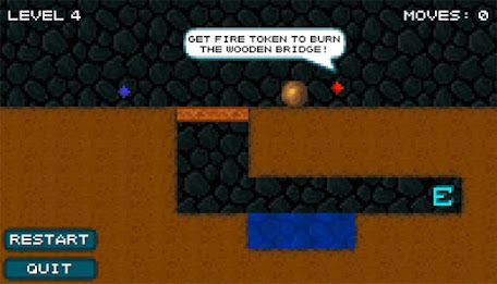 Element Puzzle poster 2