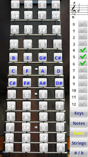 Ukulele Solo Addict(圖1)-速報App