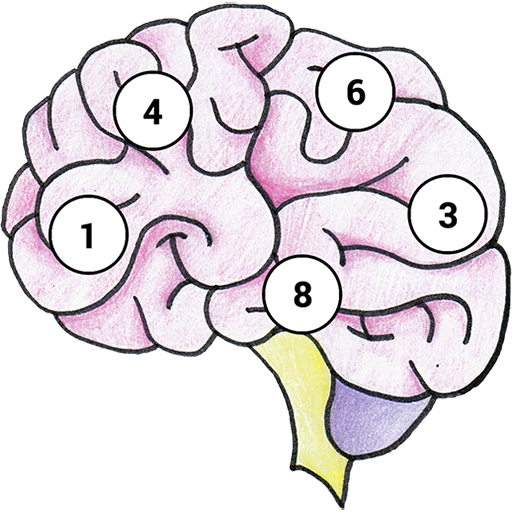Игры про мозг. Игра Brain. Кратковременная память в мозге. Оси игра. Приложение Brain схема.