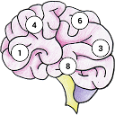 Brain Memory Exercise mobile app icon
